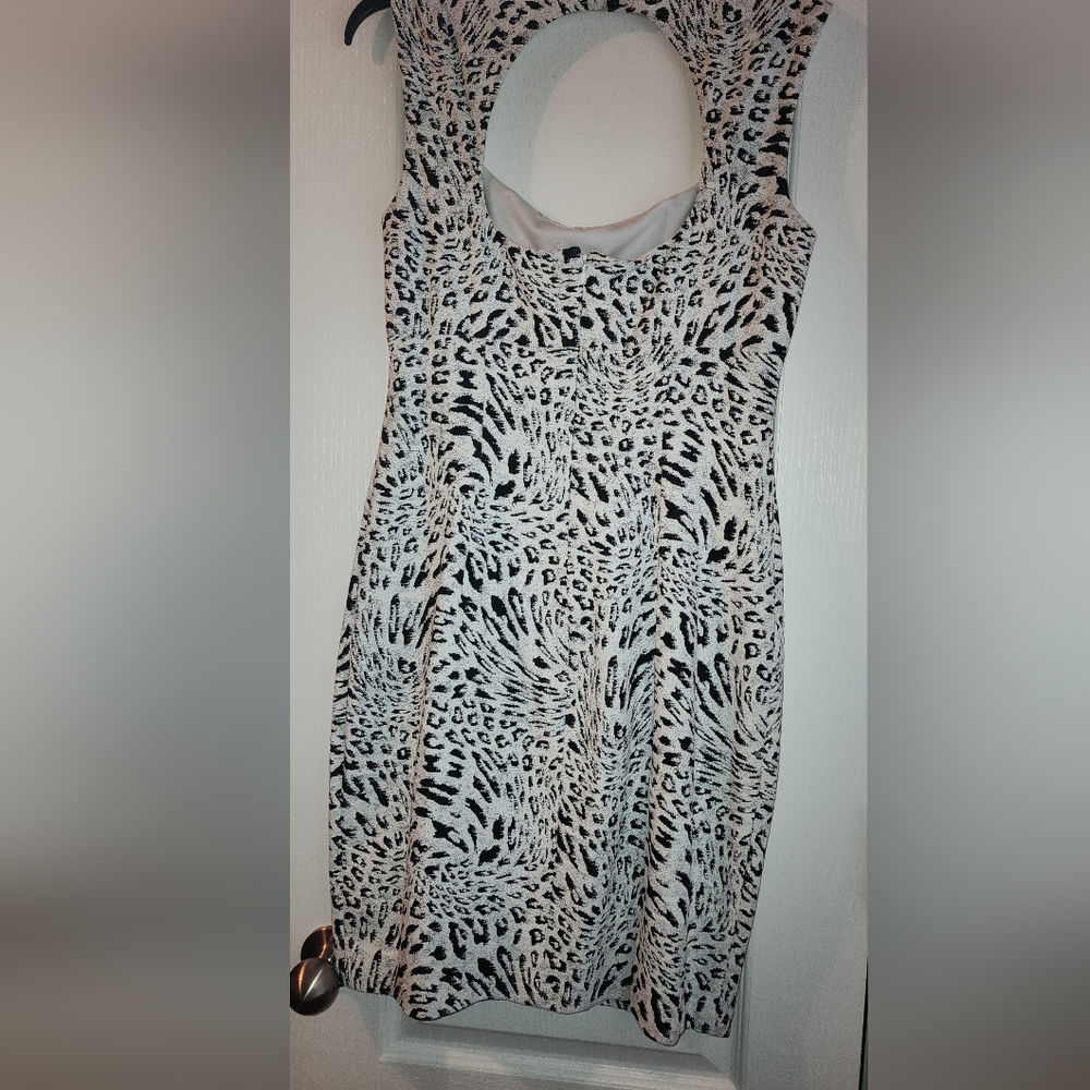 Cache Dress - Picture 8 of 8